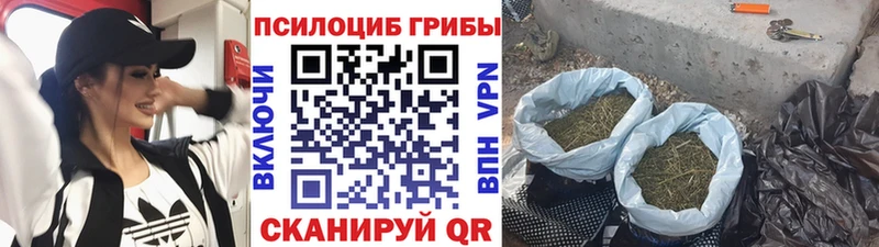 Галлюциногенные грибы Psilocybe  даркнет сайт  Агидель 